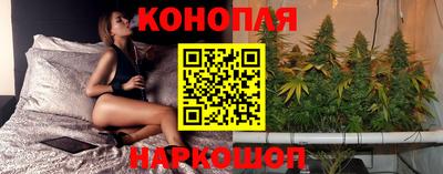 твердый Будённовск